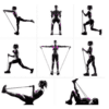 Juego de 5 Resistance Tube (10lb-150lb) Fitness Insanity - Imagen 2
