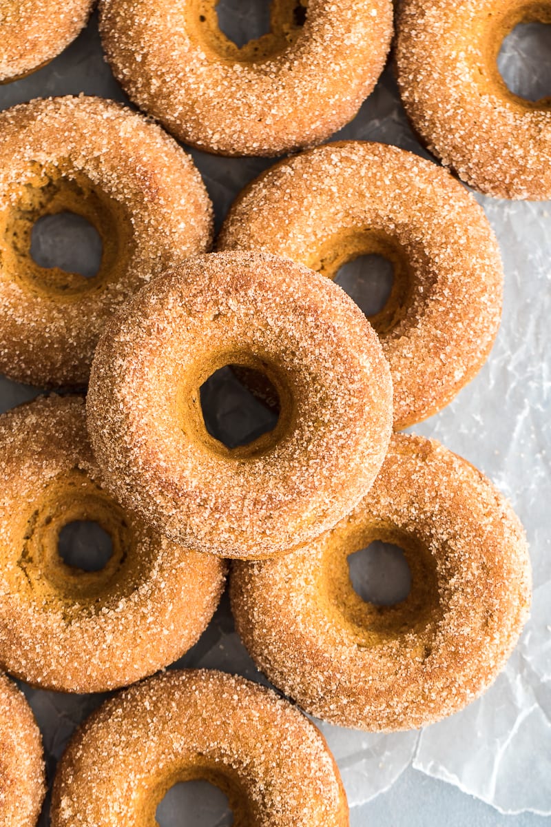 DONAS HORNEADAS DE CALABAZA – Gold Standard 100% Plant Protein